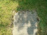 image of grave number 354281